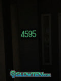Glow in the dark house address numbers aluminum (price for a single number)