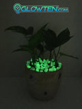 Glow in the dark stones large for crafts or decorations (Price per pound)