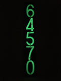 CUSTOM MADE Glow in the Dark House Address Numbers Aluminum With Black ABS Plaque (Whole Set)
