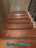 Aluminum Anti-Slip Stair Treads 2 BANDS Glow in the Dark (Silver or Black) (Glue on)(price for 1 single stair tread)